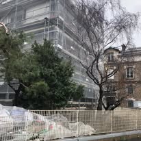 50288819 228528248058608 7269689291914084352 n